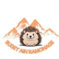 My Website